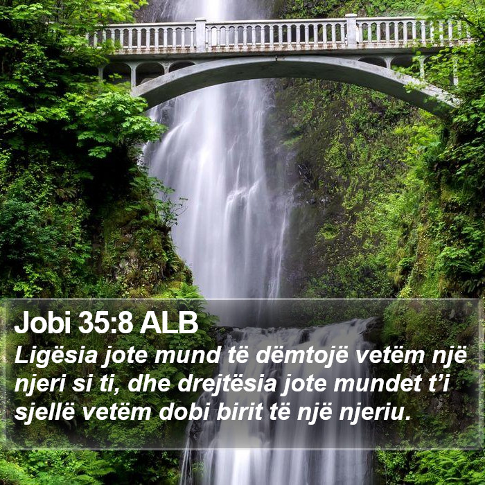 Jobi 35:8 ALB Bible Study