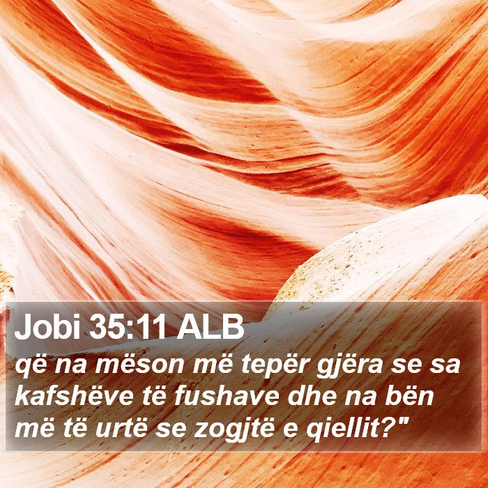 Jobi 35:11 ALB Bible Study