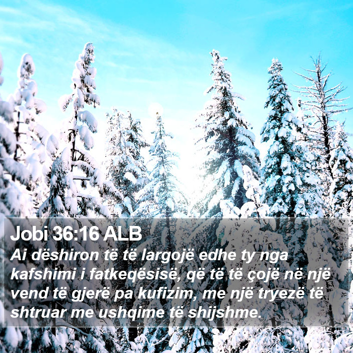 Jobi 36:16 ALB Bible Study