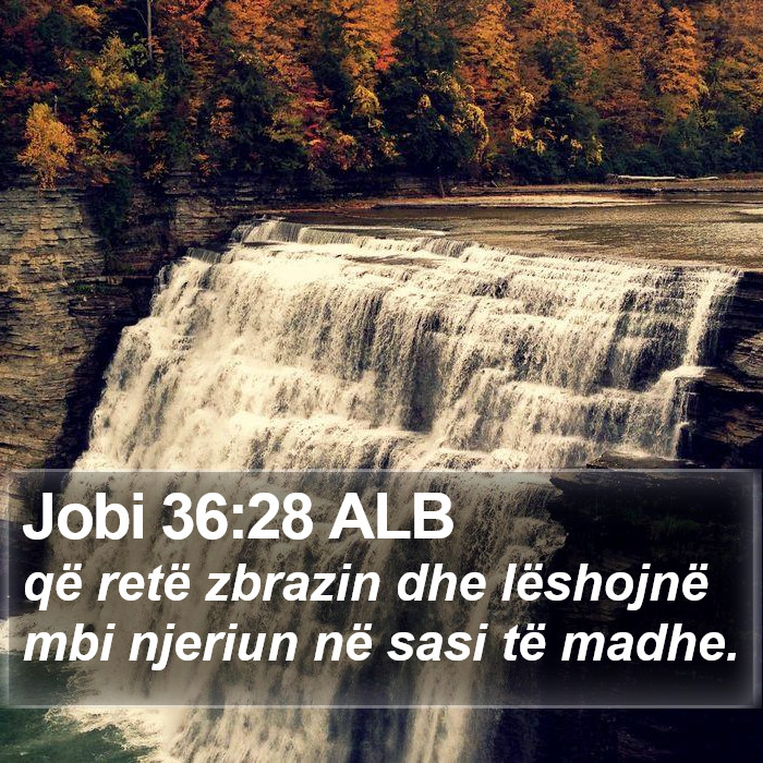 Jobi 36:28 ALB Bible Study