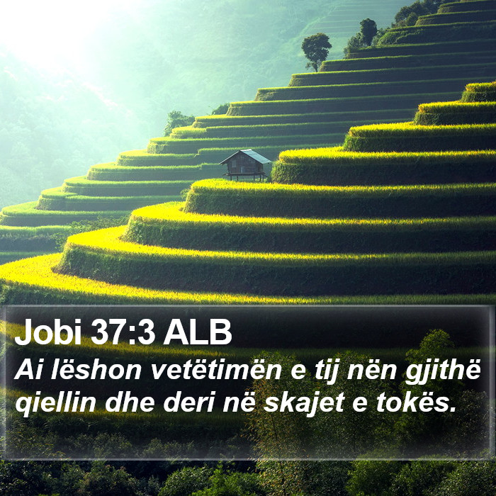 Jobi 37:3 ALB Bible Study