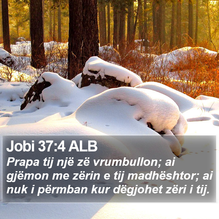Jobi 37:4 ALB Bible Study