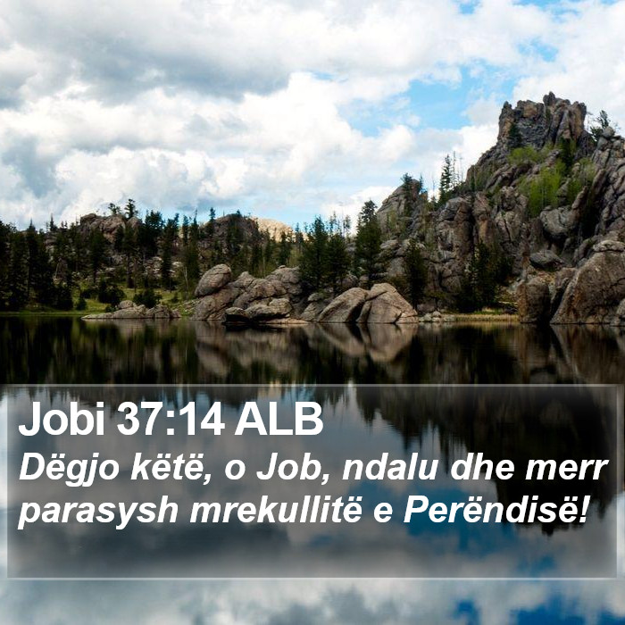 Jobi 37:14 ALB Bible Study
