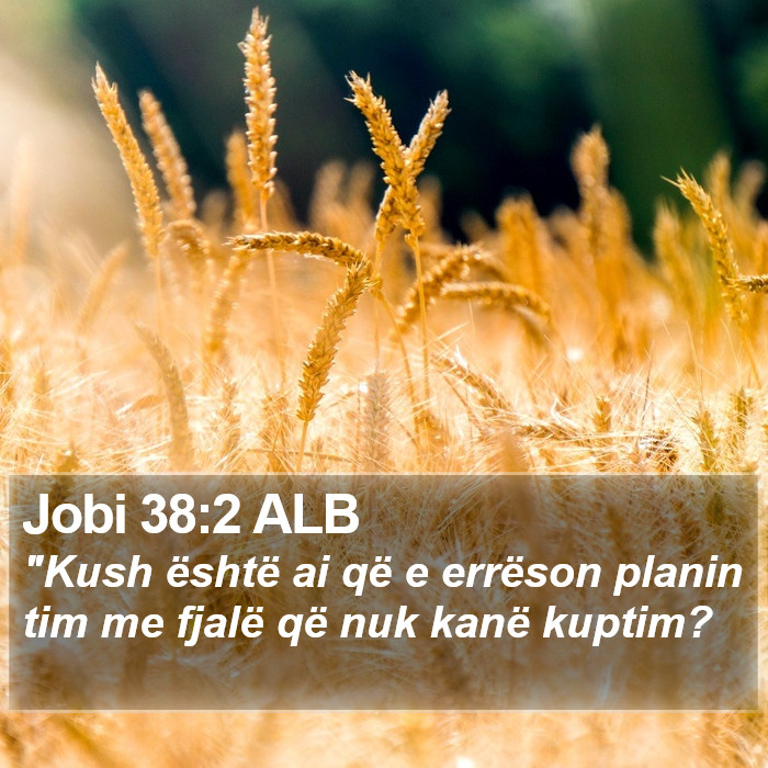 Jobi 38:2 ALB Bible Study