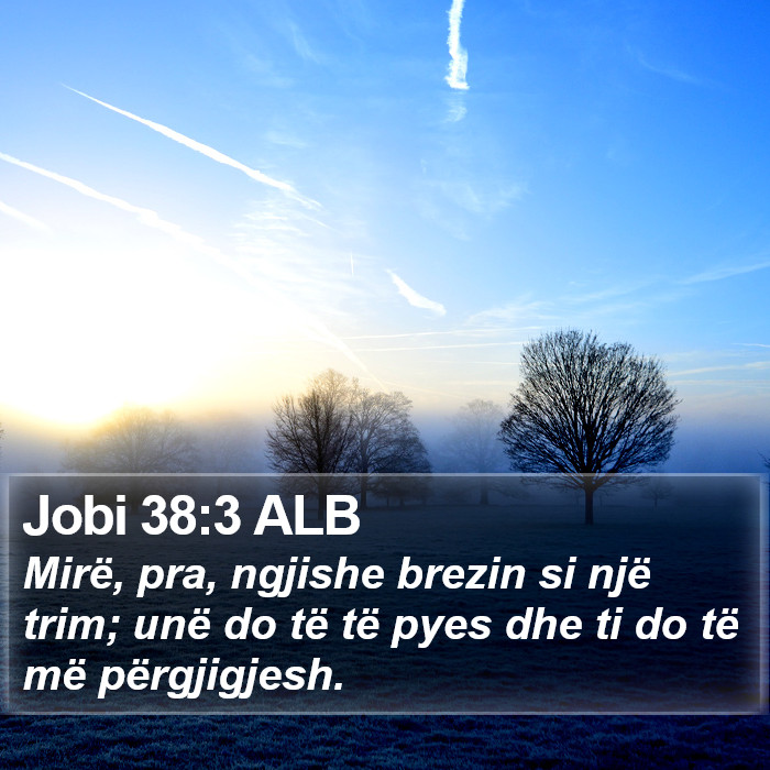Jobi 38:3 ALB Bible Study