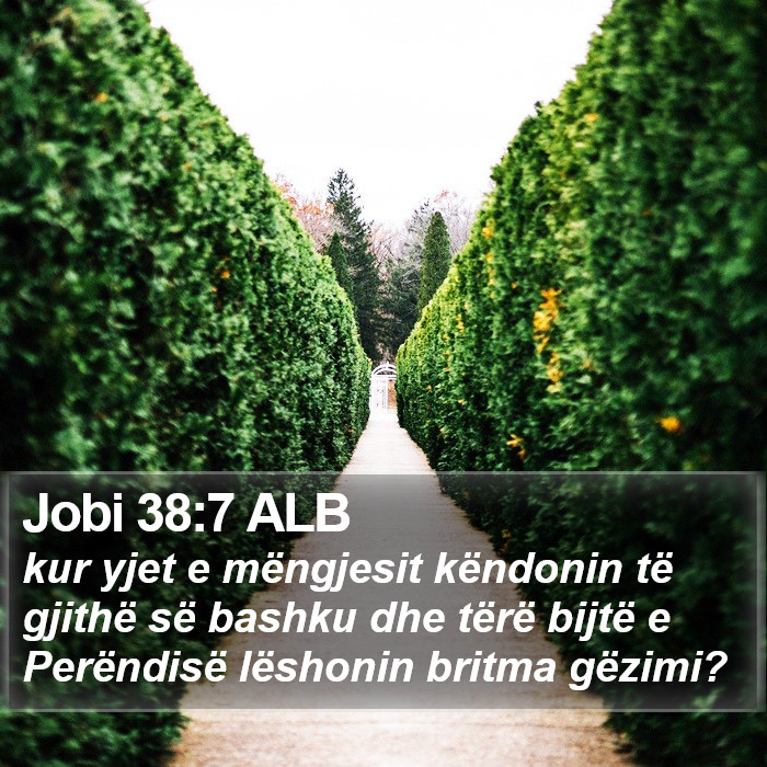 Jobi 38:7 ALB Bible Study
