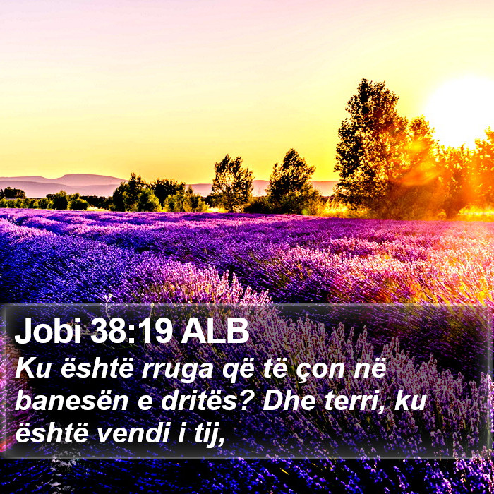 Jobi 38:19 ALB Bible Study