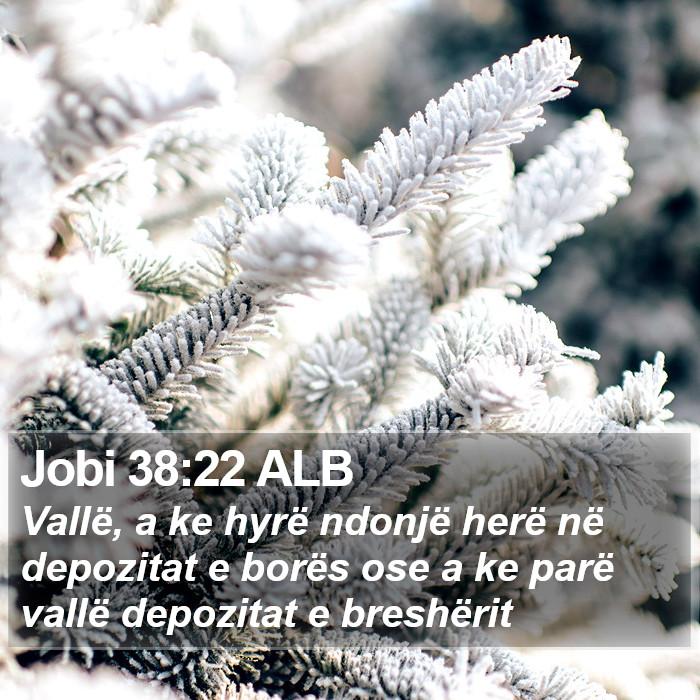 Jobi 38:22 ALB Bible Study