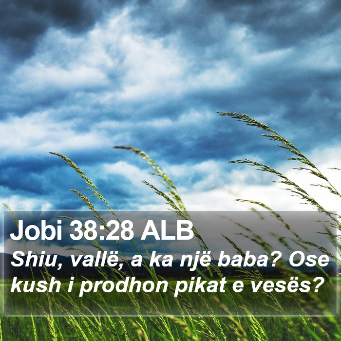 Jobi 38:28 ALB Bible Study
