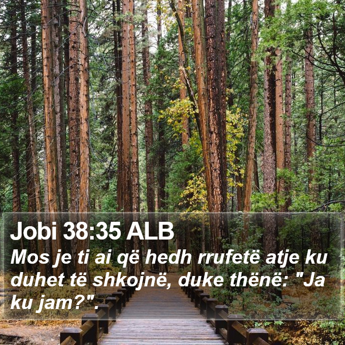 Jobi 38:35 ALB Bible Study