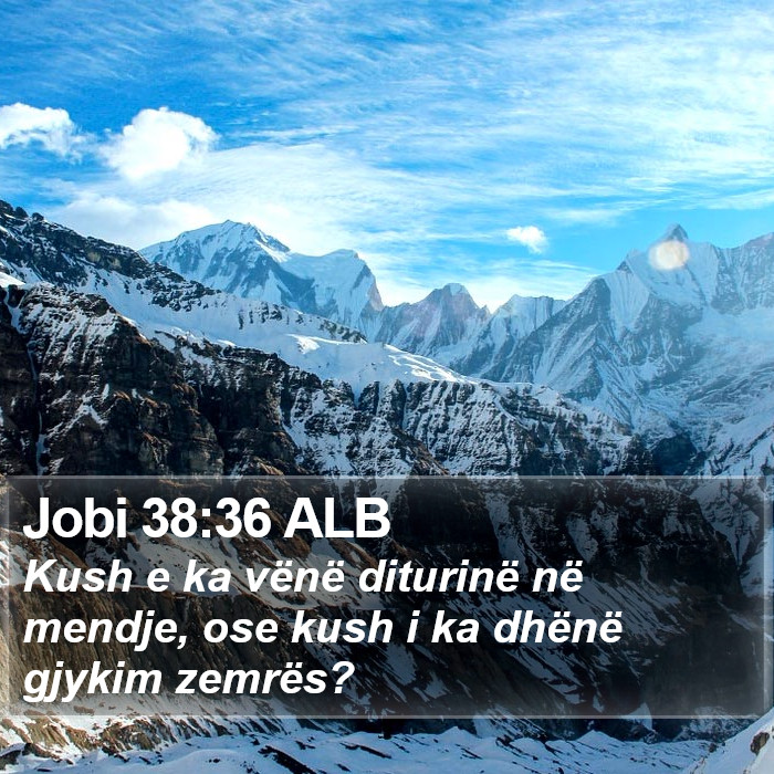 Jobi 38:36 ALB Bible Study