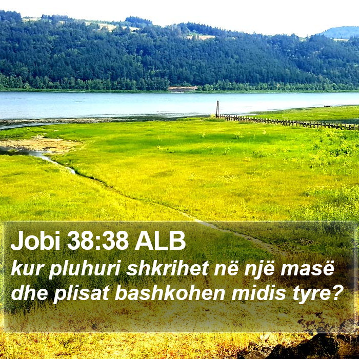 Jobi 38:38 ALB Bible Study