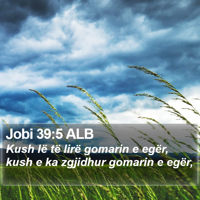 Jobi 39:5 ALB Bible Study
