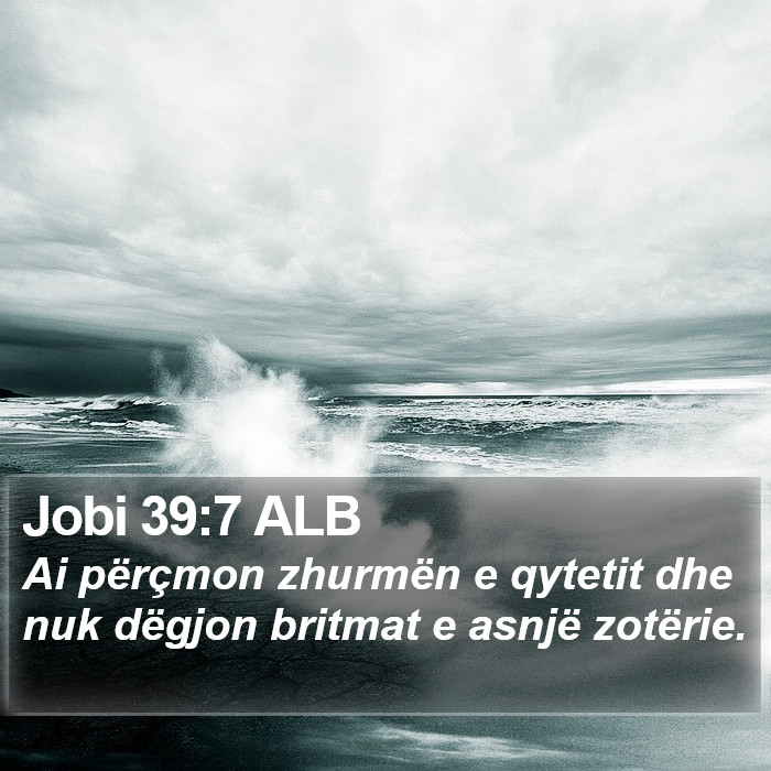 Jobi 39:7 ALB Bible Study