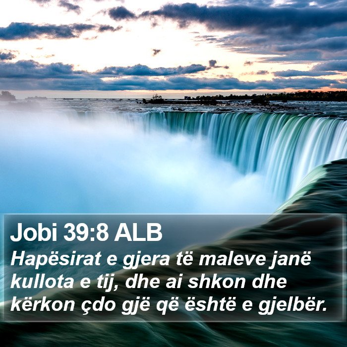 Jobi 39:8 ALB Bible Study