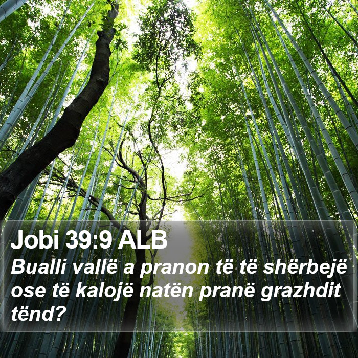 Jobi 39:9 ALB Bible Study