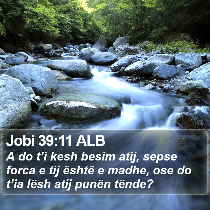 Jobi 39:11 ALB Bible Study