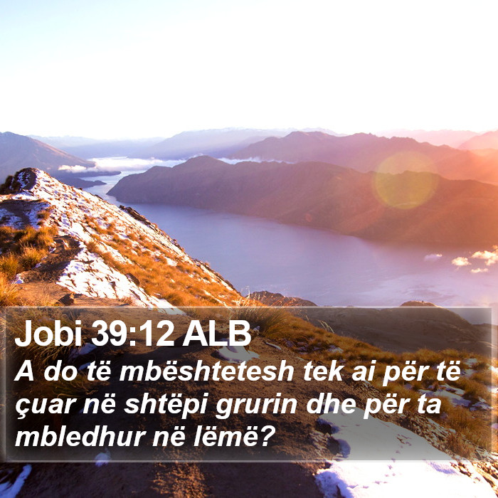 Jobi 39:12 ALB Bible Study