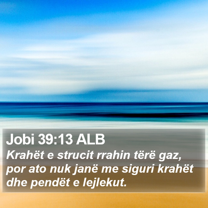 Jobi 39:13 ALB Bible Study