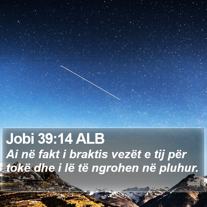 Jobi 39:14 ALB Bible Study