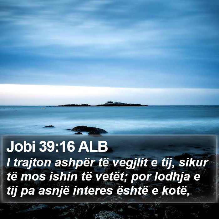 Jobi 39:16 ALB Bible Study
