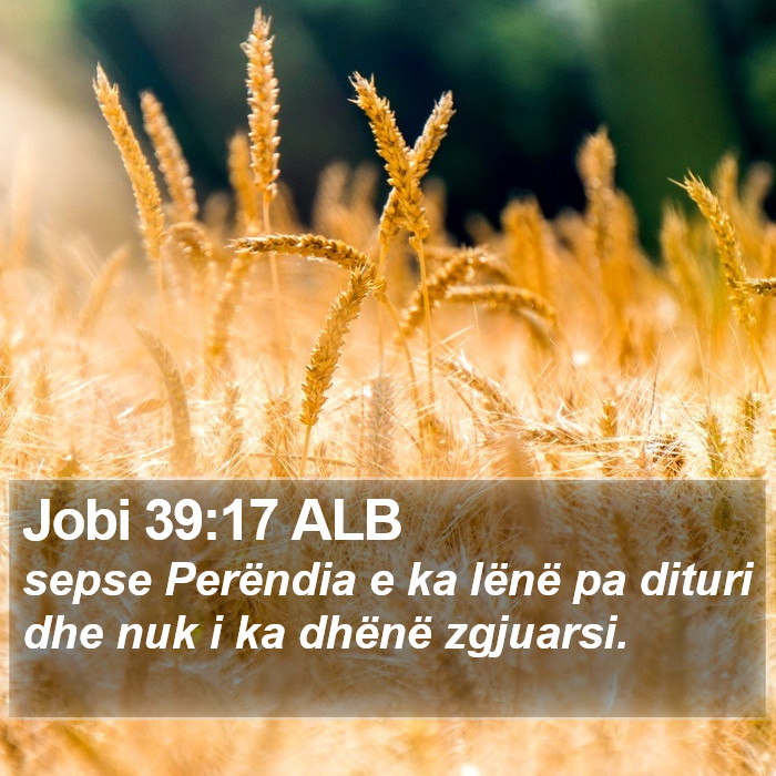 Jobi 39:17 ALB Bible Study