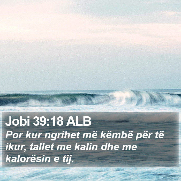 Jobi 39:18 ALB Bible Study