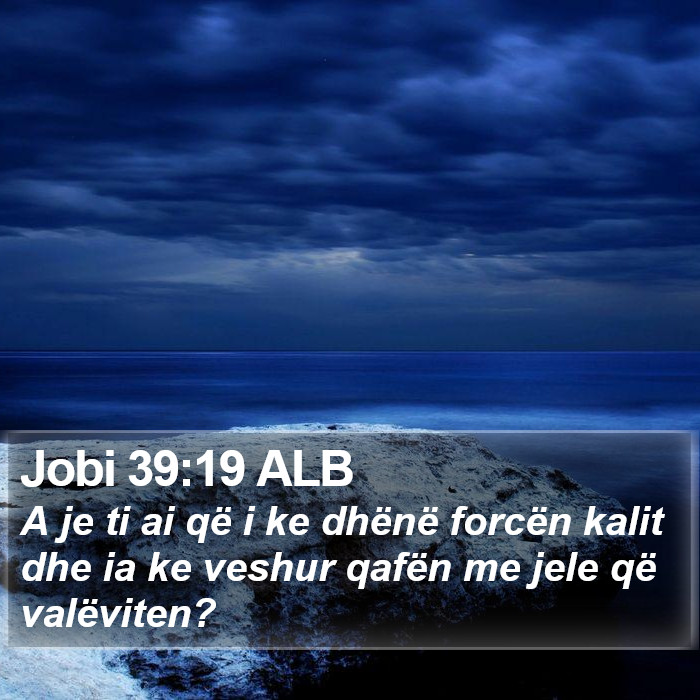 Jobi 39:19 ALB Bible Study