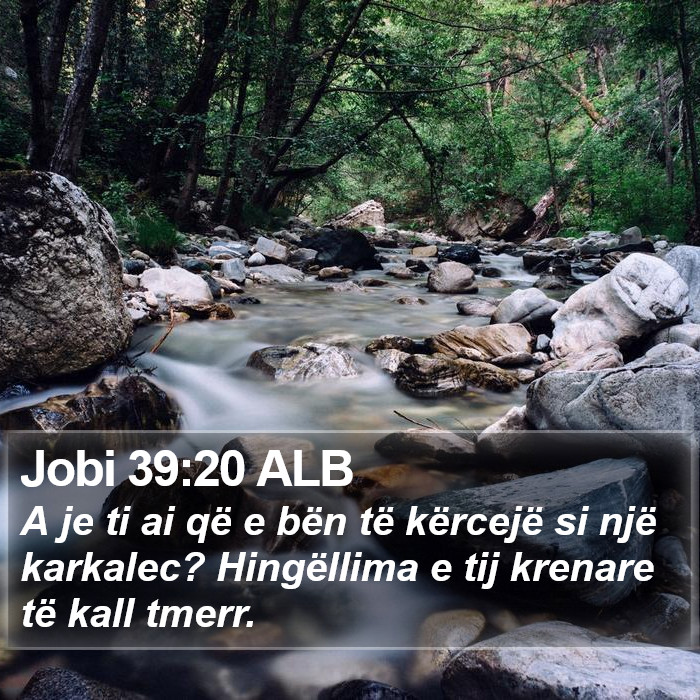 Jobi 39:20 ALB Bible Study
