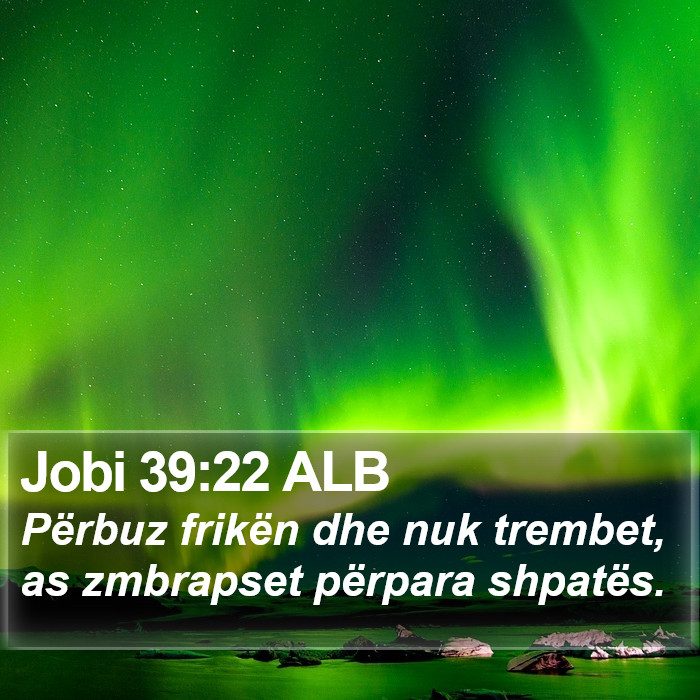 Jobi 39:22 ALB Bible Study