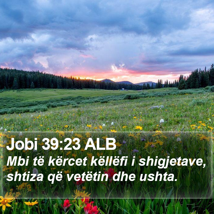 Jobi 39:23 ALB Bible Study