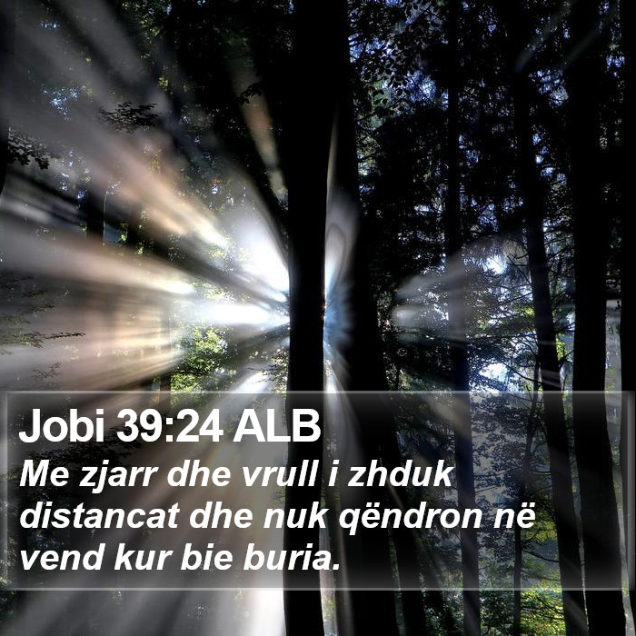 Jobi 39:24 ALB Bible Study