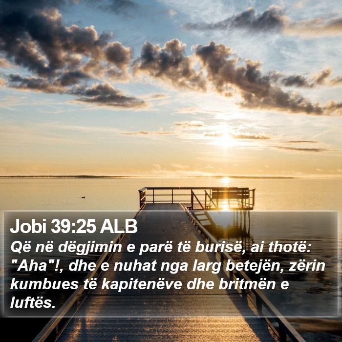Jobi 39:25 ALB Bible Study