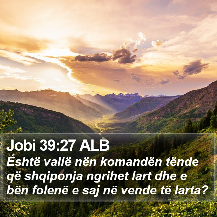 Jobi 39:27 ALB Bible Study