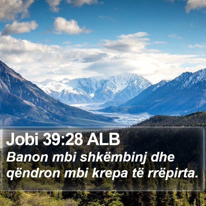 Jobi 39:28 ALB Bible Study