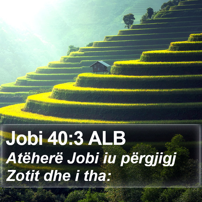 Jobi 40:3 ALB Bible Study