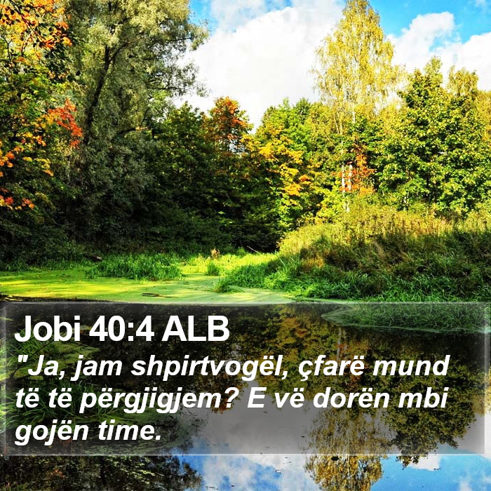 Jobi 40:4 ALB Bible Study