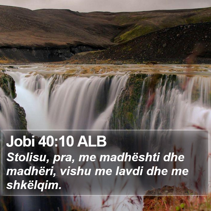 Jobi 40:10 ALB Bible Study