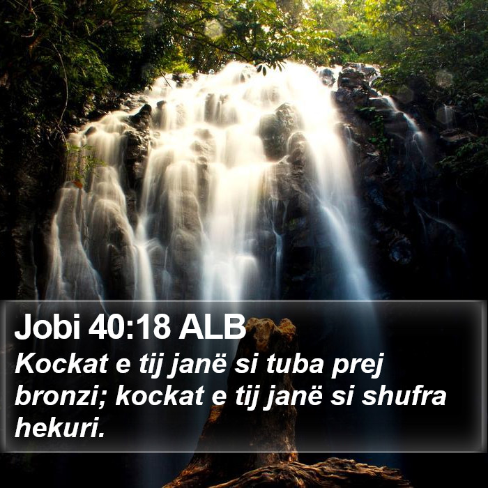 Jobi 40:18 ALB Bible Study