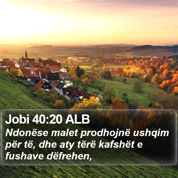 Jobi 40:20 ALB Bible Study