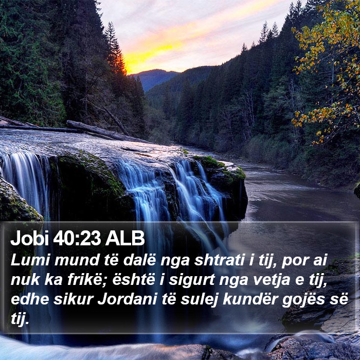 Jobi 40:23 ALB Bible Study