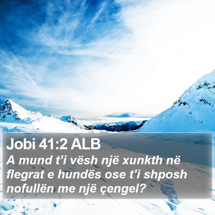 Jobi 41:2 ALB Bible Study