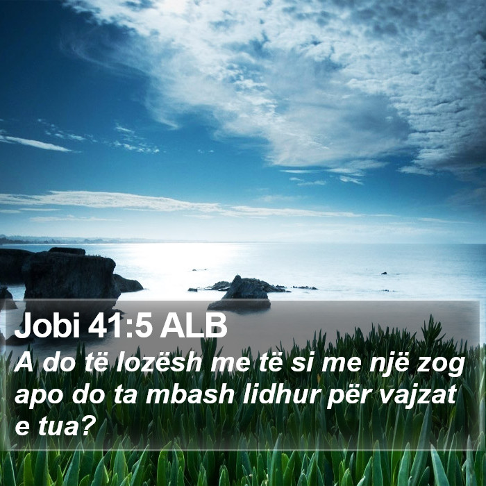 Jobi 41:5 ALB Bible Study