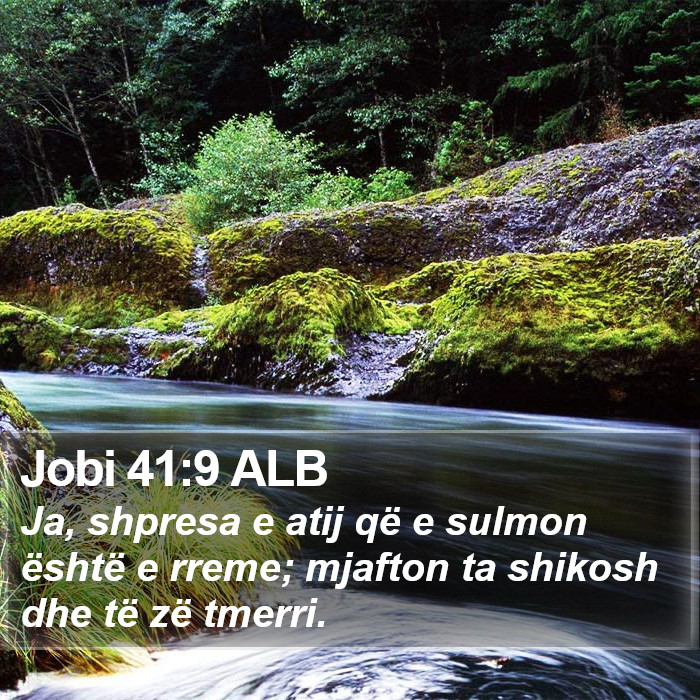 Jobi 41:9 ALB Bible Study