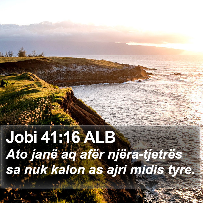 Jobi 41:16 ALB Bible Study