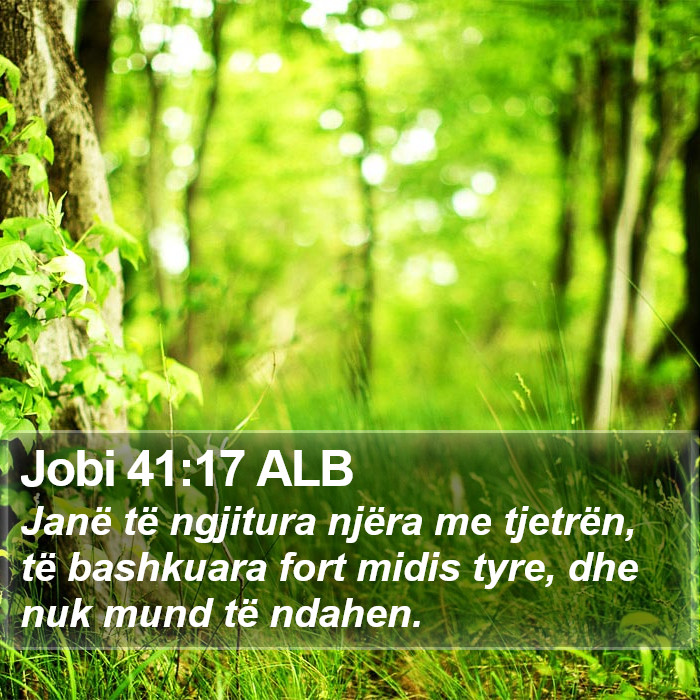 Jobi 41:17 ALB Bible Study