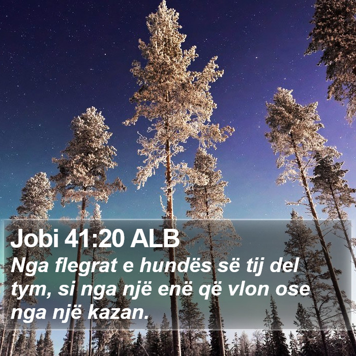 Jobi 41:20 ALB Bible Study