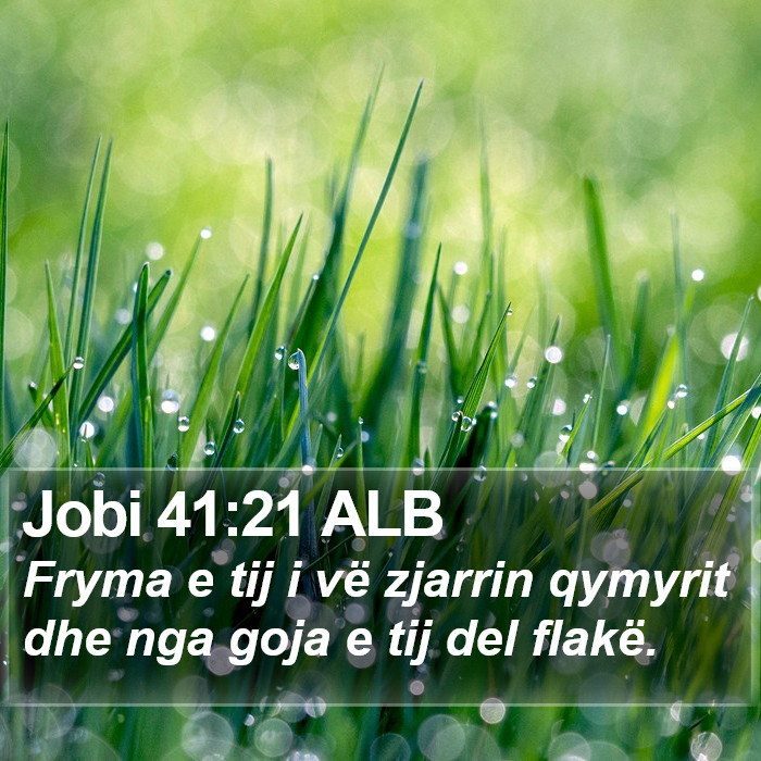 Jobi 41:21 ALB Bible Study