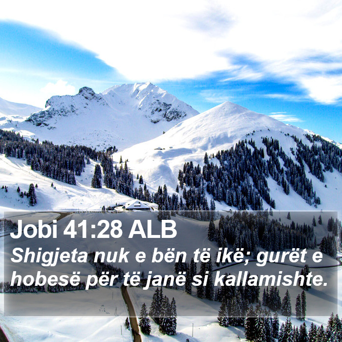 Jobi 41:28 ALB Bible Study