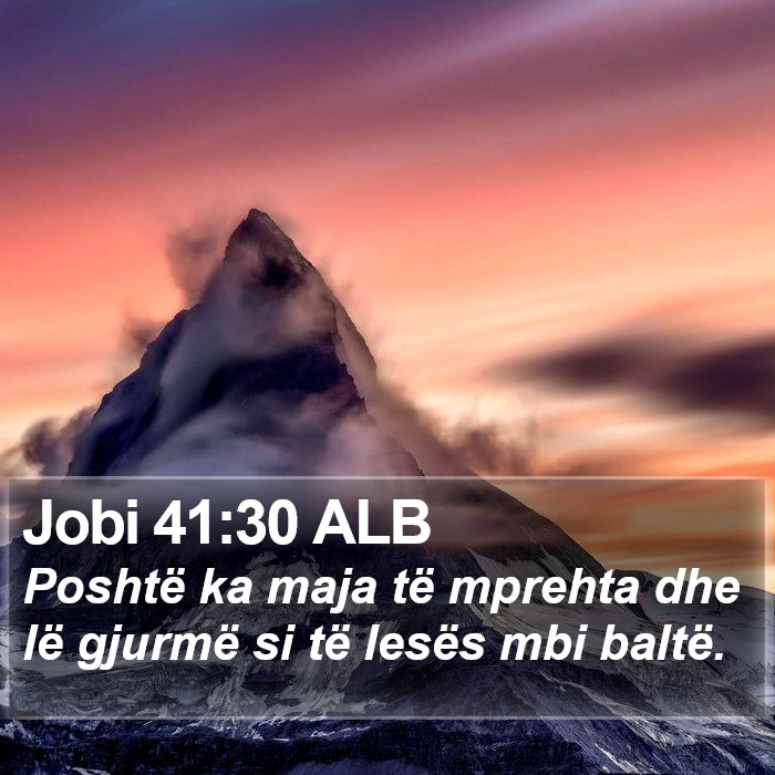 Jobi 41:30 ALB Bible Study